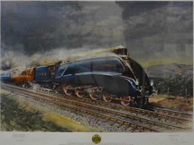 Lot 161 - After Terence Cuneo, Mallard, colour print