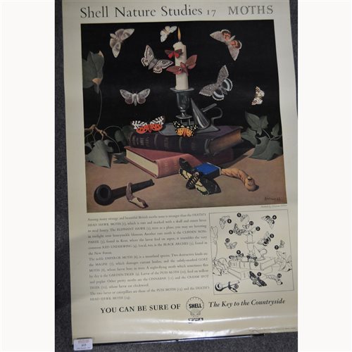 Lot 415 - Collection of Shell guide posters, ''Nature...