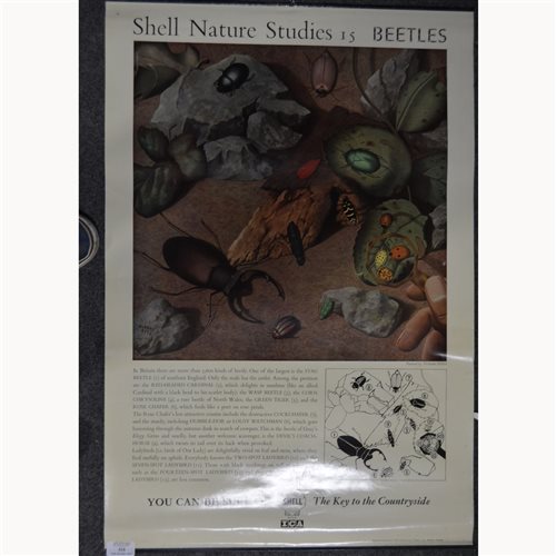 Lot 416 - Collection of Shell guide posters, ''Nature...