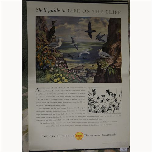 Lot 417 - Collection of Shell guide posters, ''Shell...