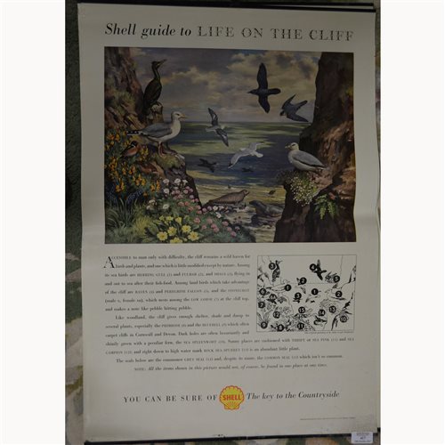 Lot 417 - Collection of Shell guide posters, ''Shell