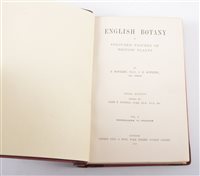 Lot 25 - John Sowerby - English Botany or Coloured...