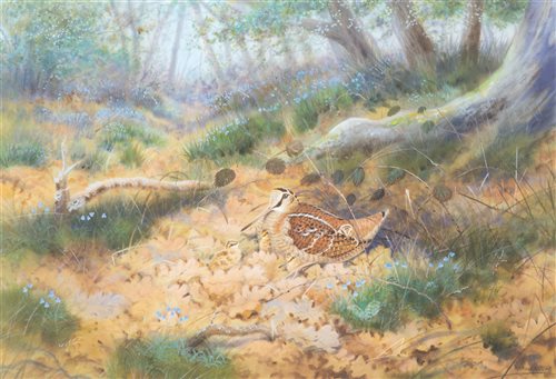 Lot 220 - Richard Robjent, Hen Woodcock with Chicks,...