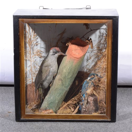 Lot 82 - Taxidermy: Green Woodpecker, and a Kingfisher, glazed case, 43x41cm.