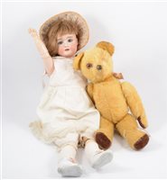 Lot 104 - German bisque head doll, wooden jointed limbs, and  golden plush teddy bear