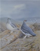 Lot 306 - After R David Digby, Red Grouse