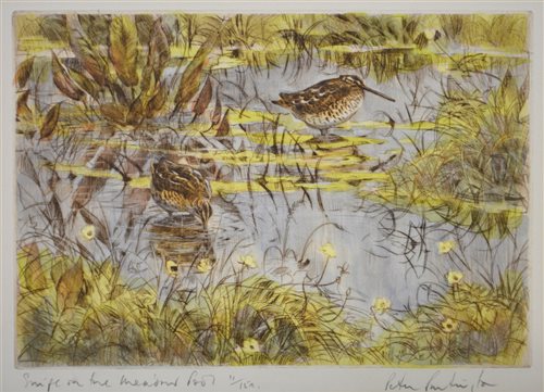 Lot 306 - After Peter Partington, Woodcock in brambles, signed coloured drypoint, and four other similar works