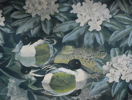 Lot 308 - After Charles Tunnicliffe, Three ducks, signed proof colour print, 37 x 49cm, and another Ducks and Magnolia, [2]