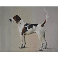 Lot 305 - Ken Noble, a hound, oil on canvas.