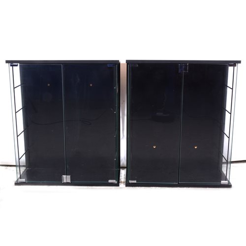 Lot 311 - Two model display cabinets