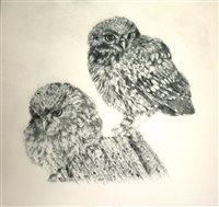 Lot 296 - Laura Harvey, Squirrel, and Two owls, etchings with aquatint (2)