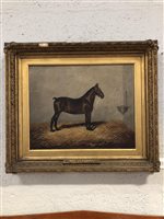 Lot 298 - Fred Thurlby, Gay Girl, a Cob in a stable, oil on canvas.