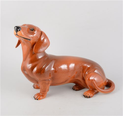 Lot 52 - A Beswick fireside dachshund figure, 35cm long from nose to tail, 27cm tall.