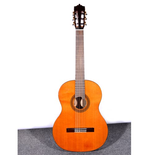 Lot 165 - MCG 65-C Martinez guitar and soft case and stand.