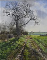 Lot 374 - Martin Taylor, Brampton Hill, the other way, watercolour.