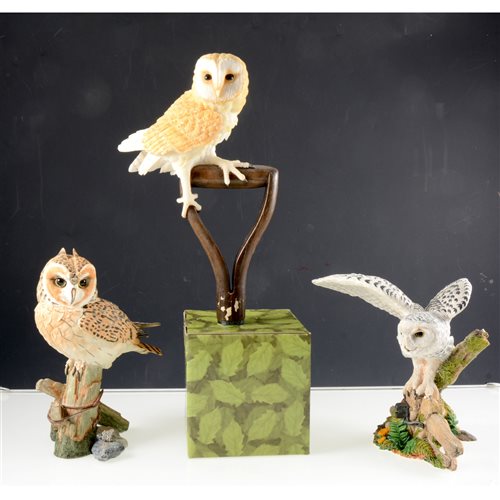 Lot 69 - A collection of fourteen Country Artists' owls  by David Ivey, all boxed