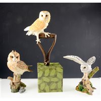 Lot 69 - A collection of fourteen Country Artists' owls  by David Ivey, all boxed