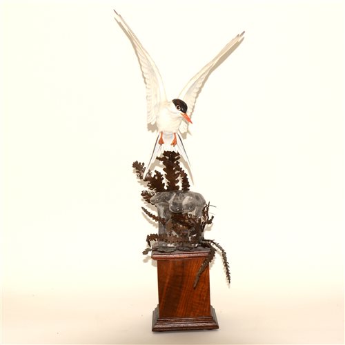 Lot 67 - An Albany Fine China bronze, porcelain and glass figure of an Arctic Tern by David Burnham-Smith