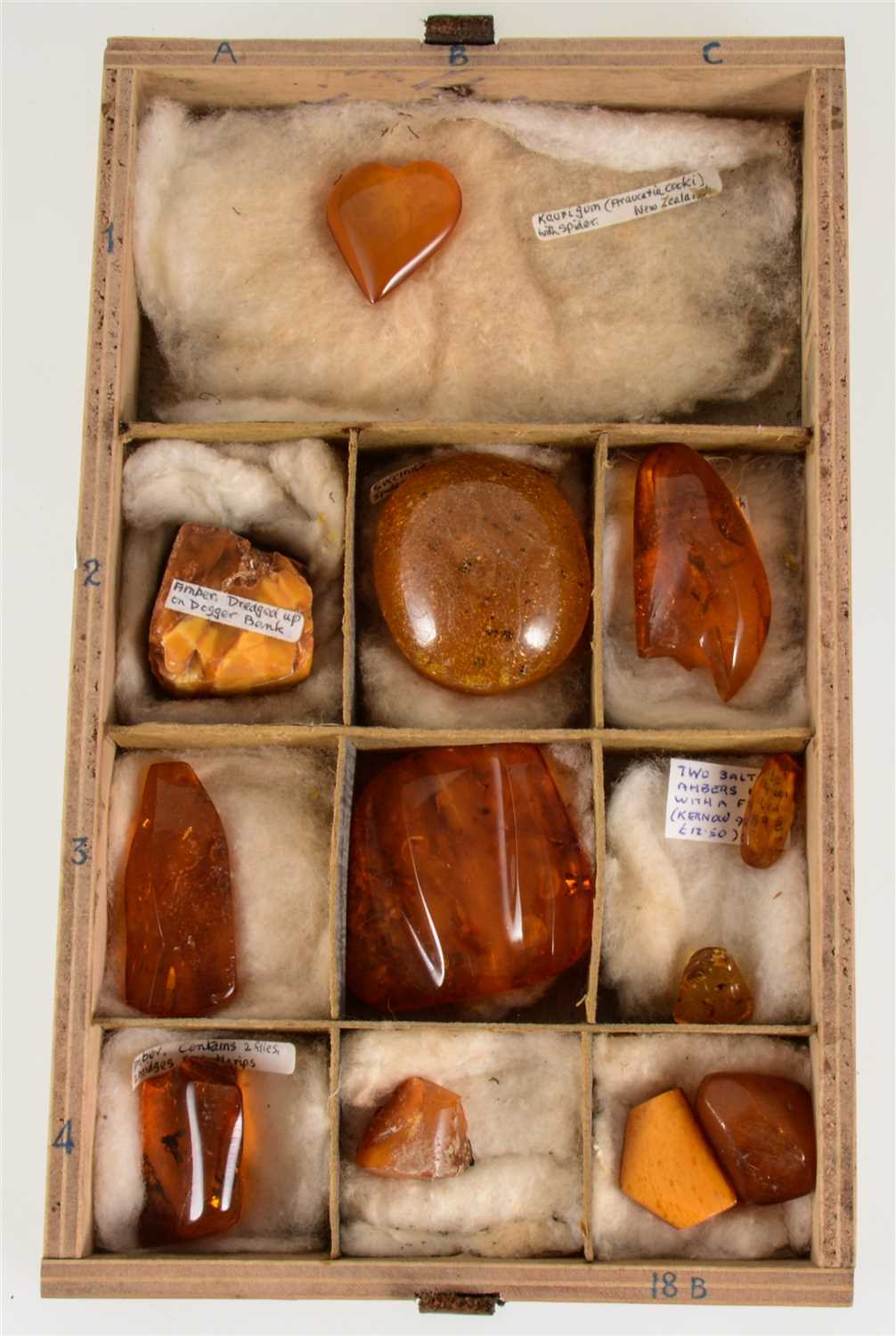 Lot 217 - Twelve pieces of amber/Kauri gum/succinite, five of which contain insects including a millipede, spider, flies and seeds.