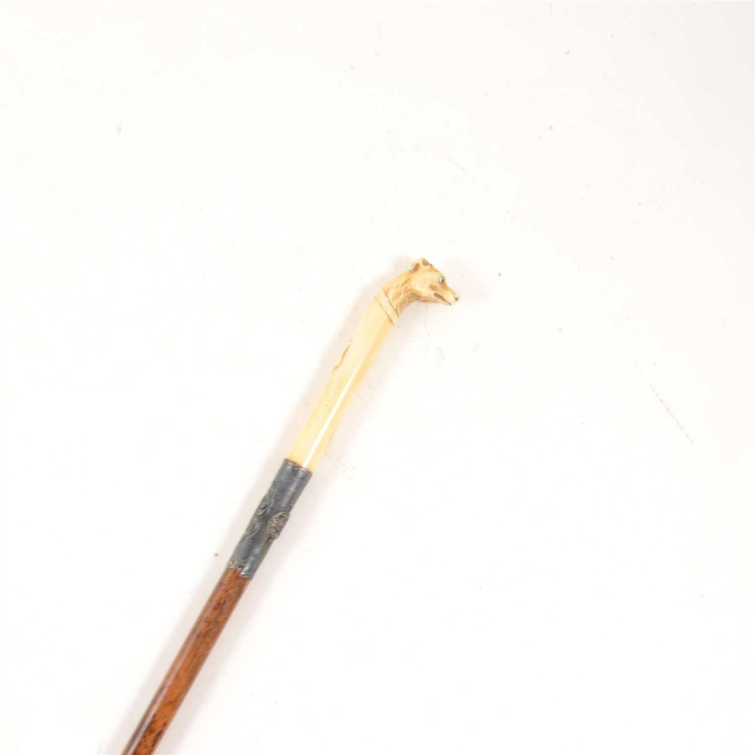 Lot 110 - A wooden walking cane with carved model of a dogs head, glass eyes, white metal collar, overall 70cm.