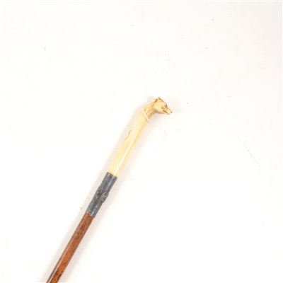 Lot 110 - A wooden walking cane with carved model of a dogs head, glass eyes, white metal collar, overall 70cm.