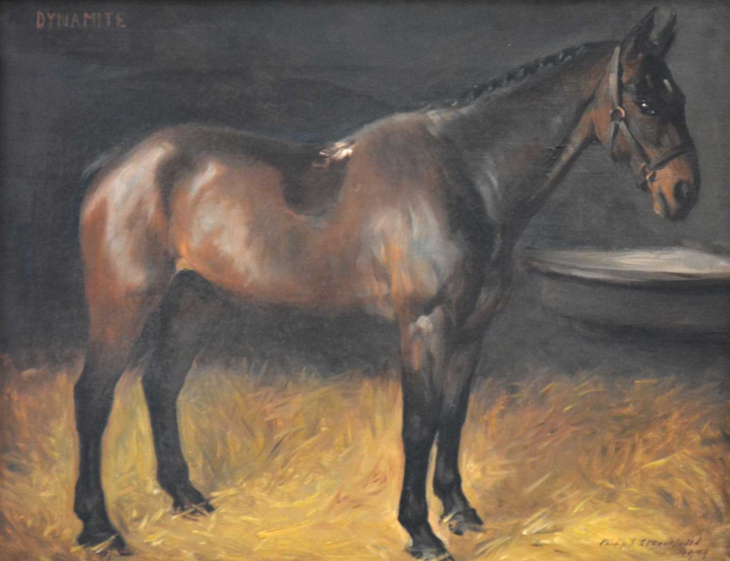 Lot 294 - Philip Strawfield (?) Dynamite - horse study
