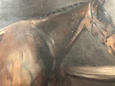 Lot 294 - Philip Strawfield (?) Dynamite - horse study