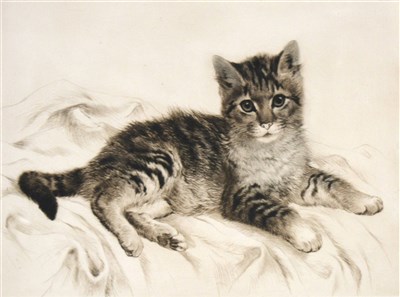 Lot 453 - English school, A Kitten