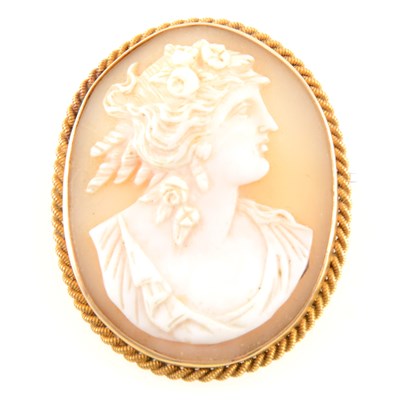 Lot 248 - An oval carved shell cameo brooch