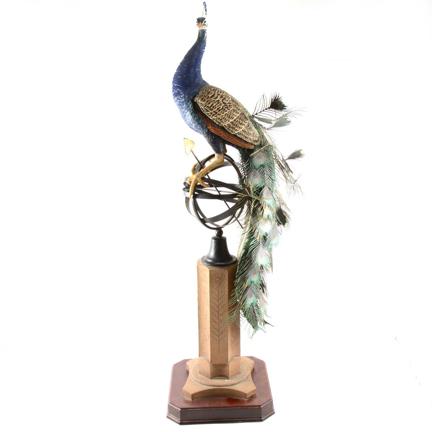 Lot 187 - A Border Fine Arts 'Regal Splendour' (Peacock)