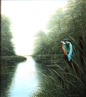 Lot 502 - David J Lawrence, Good Prospects, a Kingfisher on the River Dart, oil on canvas