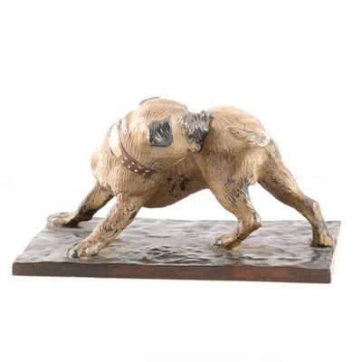 Lot 167 - Cold painted bronze model of a dog on rectangular base