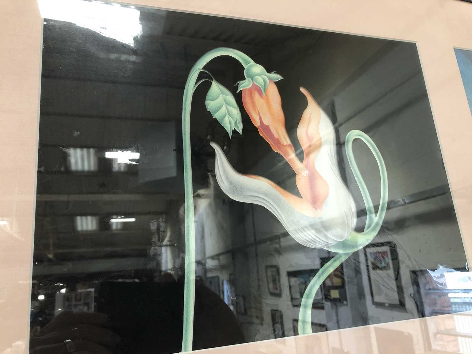 Essays effluvia 02 picture