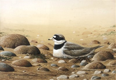 Lot 338 - Ralph Waterhouse