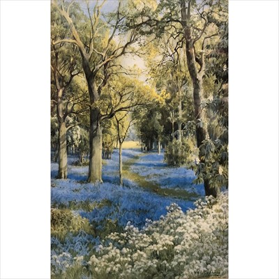 Lot 421 - CATALOGUE AMENDMENT (blue wood is a print) John Macpherson, Bluebell Wood, ...