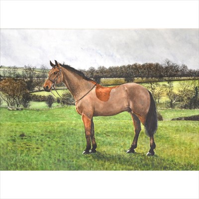 Lot 428 - Penny Richardson (nee Whadcoat), Horse in a landscape, ...