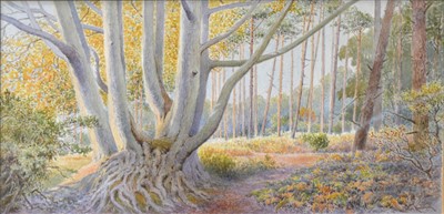 Lot 531 - Leeson Rowbotham, An Autumn woodland scene, ...