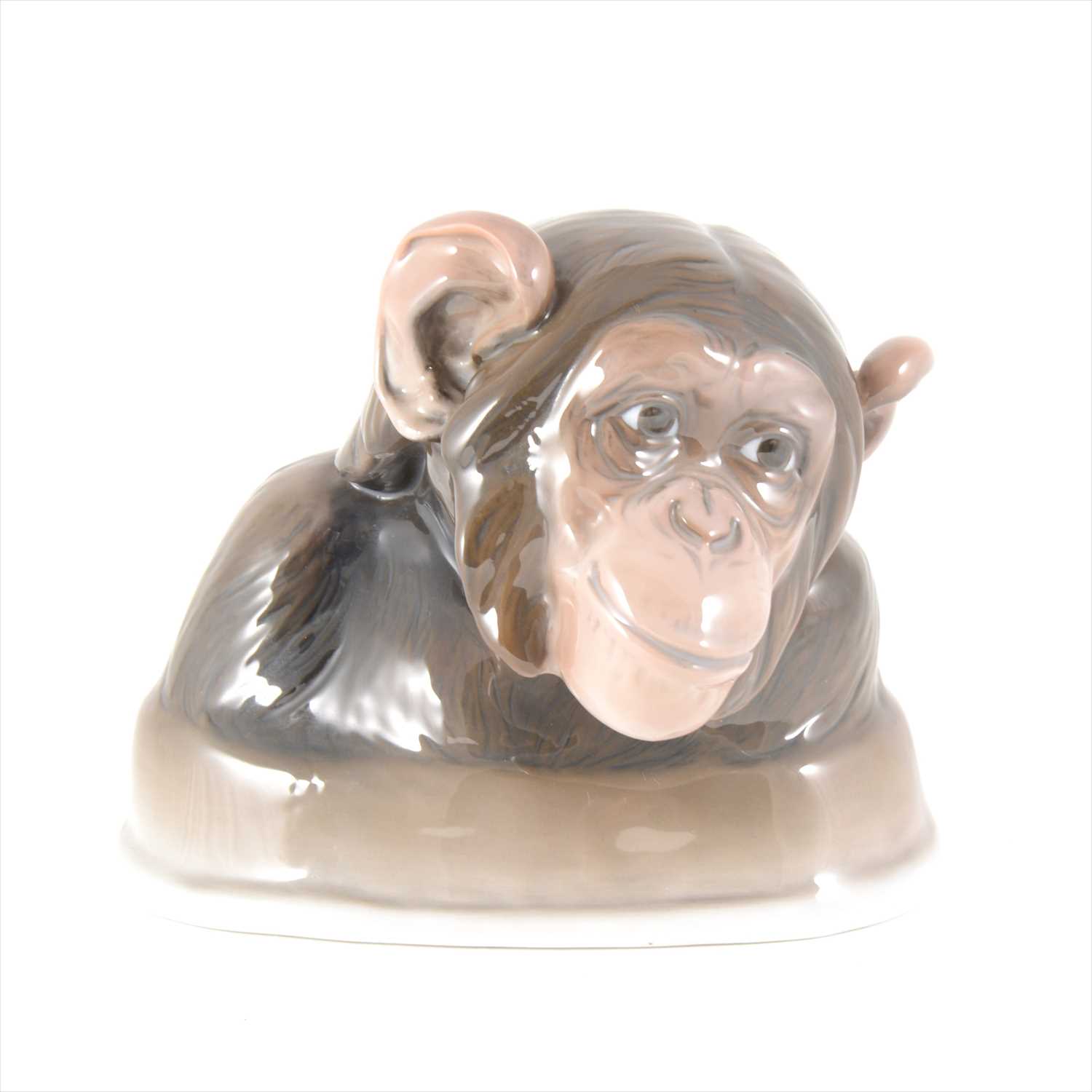 Lot 8 - Rosenthal porcelain bust of a Chimpanzee, 'Homesickness', modelled by K Himmelstoss