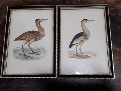 Lot 436 - Morris's "British Birds 1870" eight framed prints, three portraits, silhouette, gilt acorn frame.