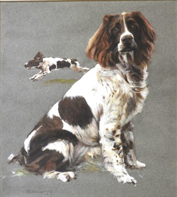 Lot 527 - Sam Marriott, Meg, portrait of a Springer Spaniel, ...