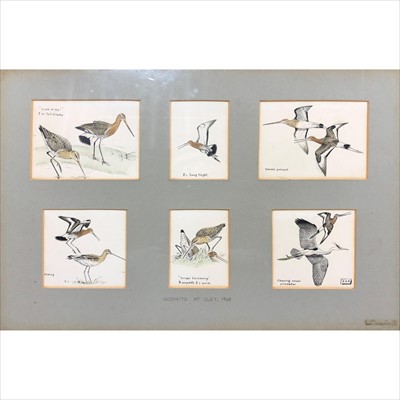 Lot 446 - R A Richardson,  Godwits at Cley 1968, six small studies in one frame.