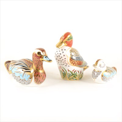 Lot 101 - Royal Crown Derby Collectors Guild Duck and Duckling , G W Teal - boxed.
