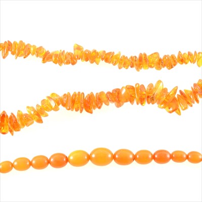 Lot 303 - Two amber coloured necklaces.