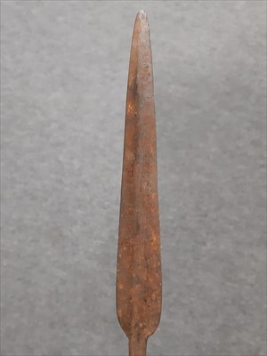 Lot 131 - Ethnographica - a hide shield, two throwing spears and a knobkerrie