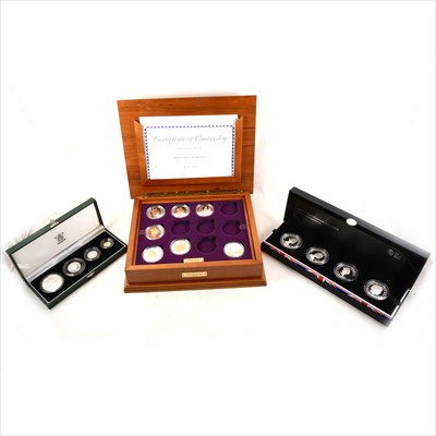 Lot 344 - A collection of Royal Mint coins