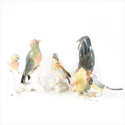 Lot 45 - Five German porcelain bird figures, by Karl Ens