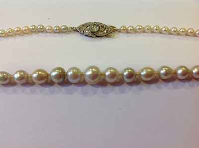 Lot 128 - An untested mix colour pearl necklace with diamond clasp.