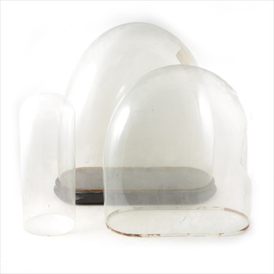 Lot 160 - Three glass domes