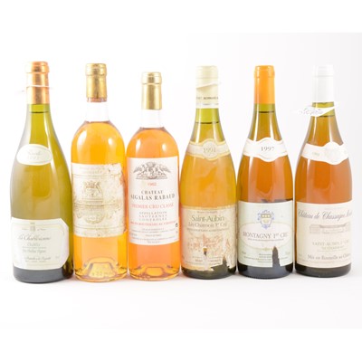 Lot 291 - Fifteen assorted bottles of white and dessert wines