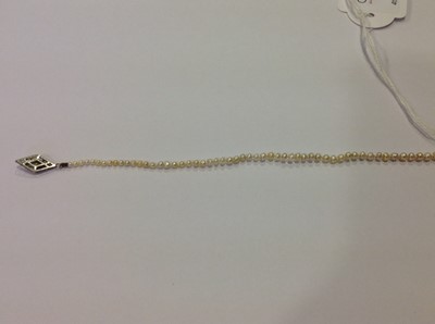 Lot 345 - A pearl necklace with diamond set clasp.